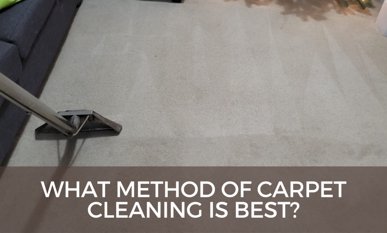 Tried And Tested Tips To Get Rid Of Pet Stains From Carpet