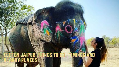 Elefun Jaipur Things To Do , Timings and Nearby Places