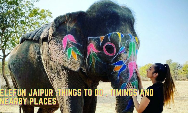 Elefun Jaipur Things To Do , Timings and Nearby Places