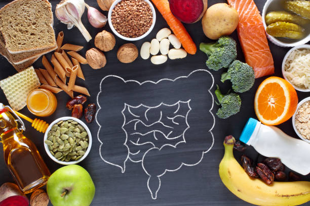 8 Things Help Our Digestion Process