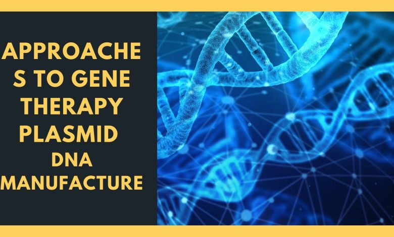 Approaches to Gene Therapy Plasmid DNA Manufacture