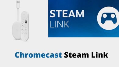 Chromecast Steam