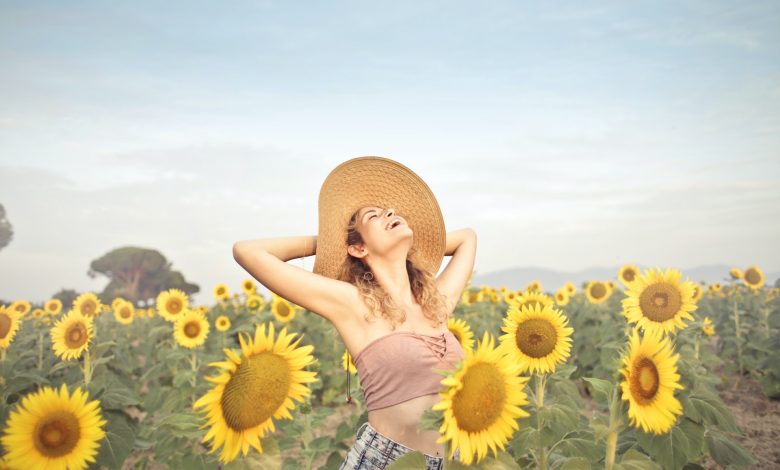 travel - sunflowers