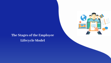 Stages of the Employee Lifecycle Model