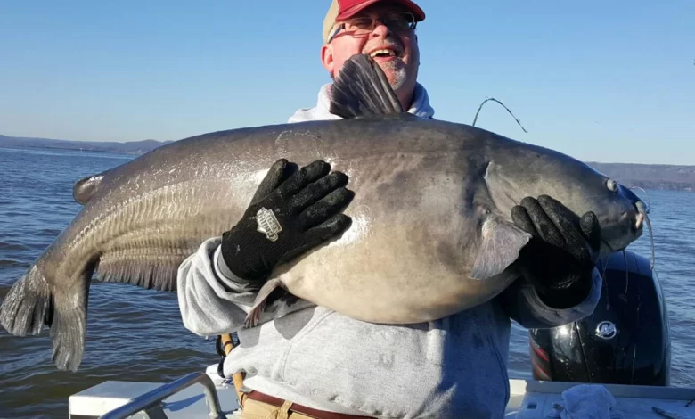 Catfish fishing