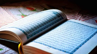 Online Quran Learning