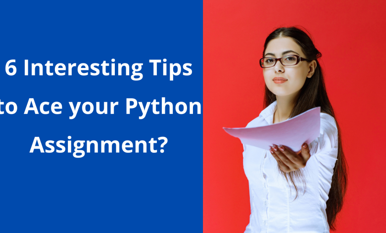 python assignment help