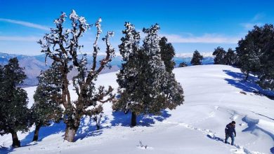 nag tibba trek