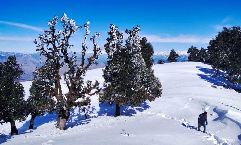 nag tibba trek