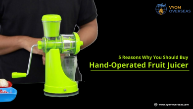 Fruit Juicer