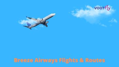 Breeze airways