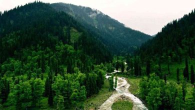 Trip to Nathia Gali