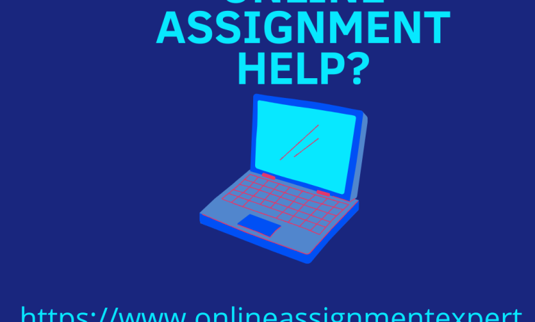 online assignment expert