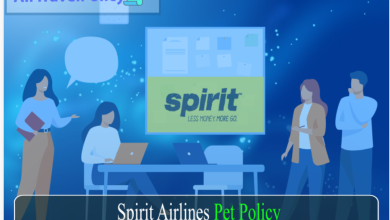 Spirit Airlines Pet Policy