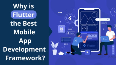 Why is Flutter the Best Mobile App Development Framework?