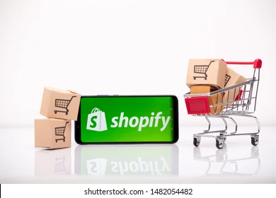 Shopify custom development