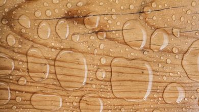 waterproof grade plywood