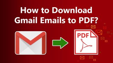 How to Download Multiple Emails from Gmail as PDF