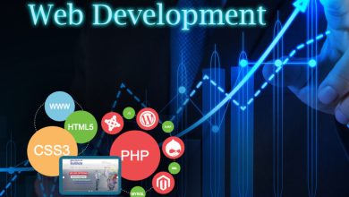 Web Development Services