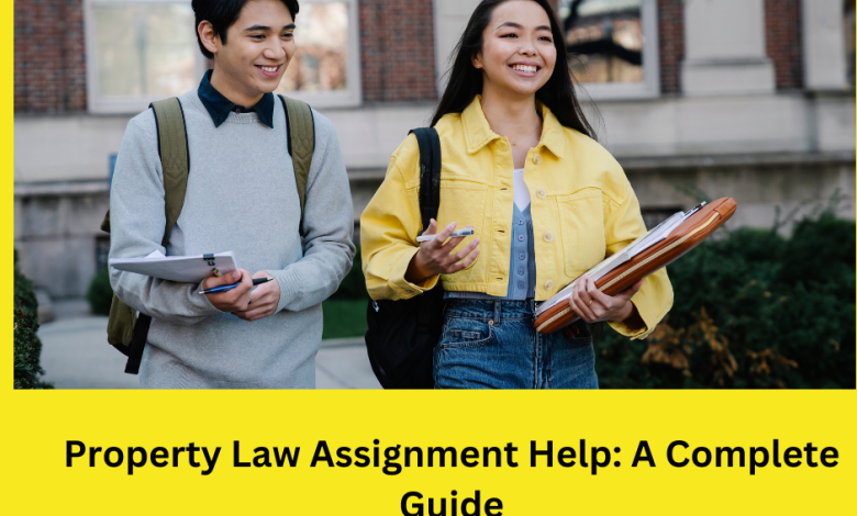 law assignment help