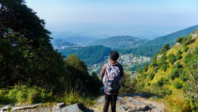 Triund Trek