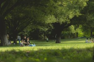 Family Picnic