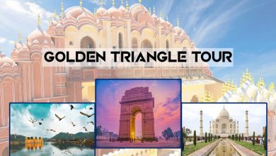 Golden Triangle Tour Travel Guide