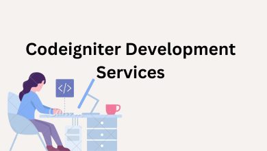 Codeigniter Development Services