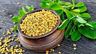 The Benefits Of Fenugreek Seeds