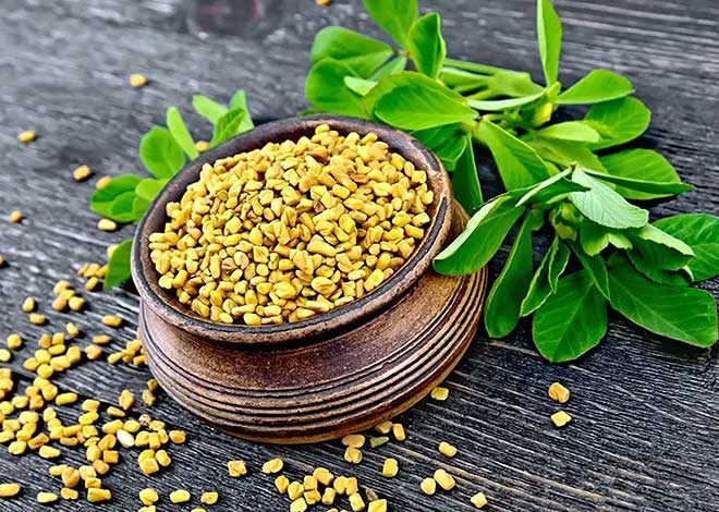 The Benefits Of Fenugreek Seeds