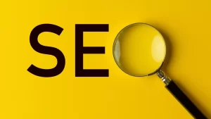 SEO services in delhi