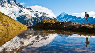 New Zealand Tour Packages